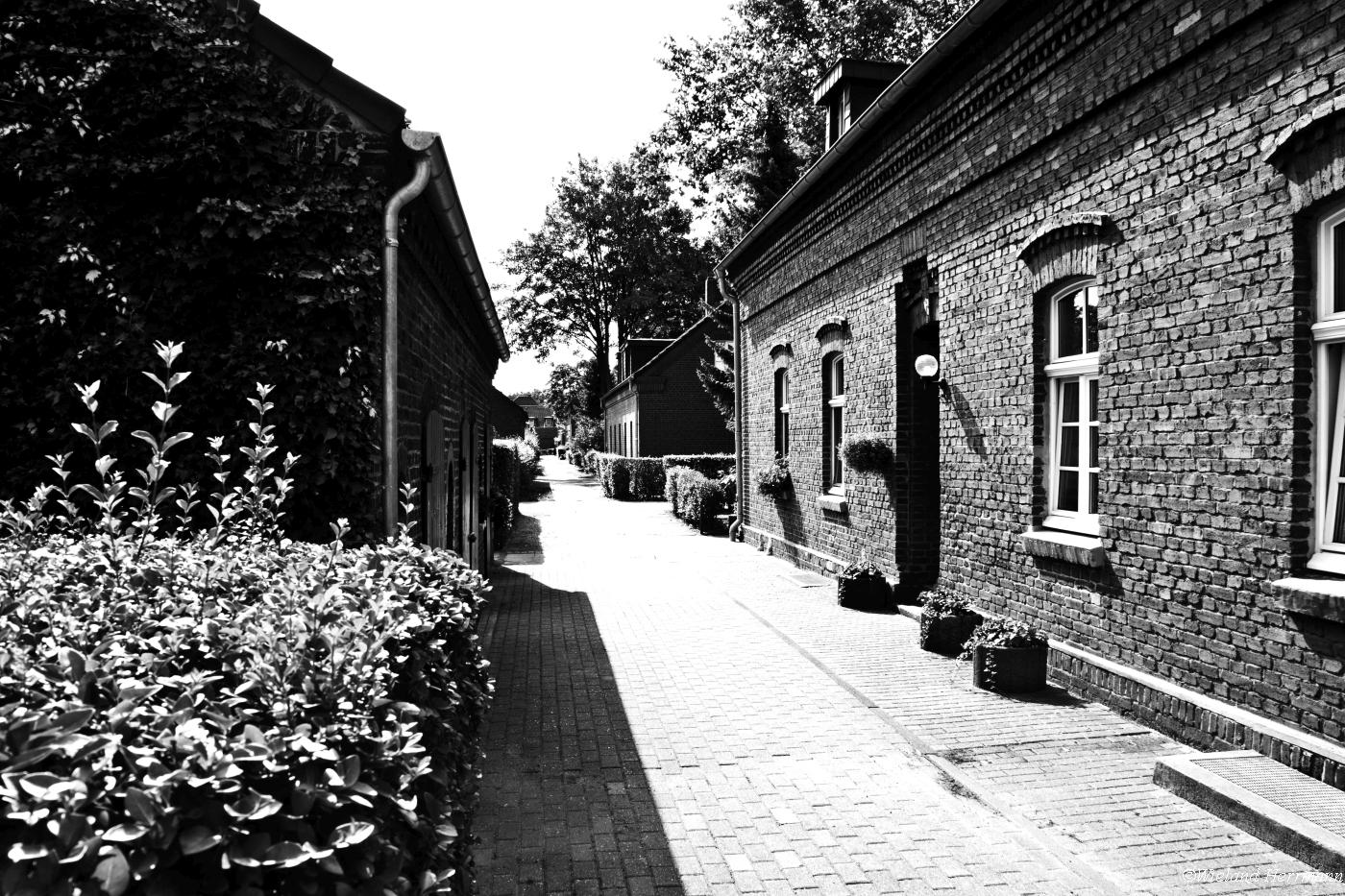 Eisenheim 2009_07