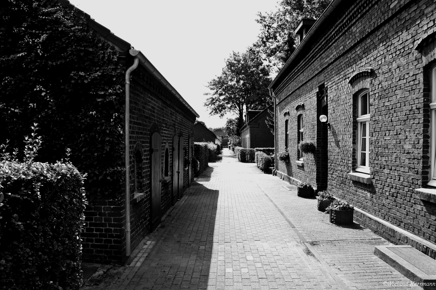 Eisenheim 2009_08