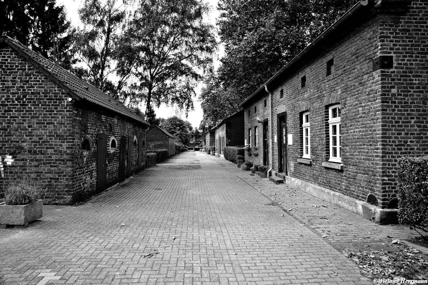 Eisenheim 2014_06