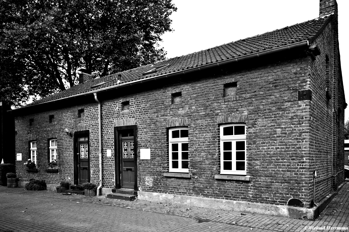 Eisenheim 2014_08