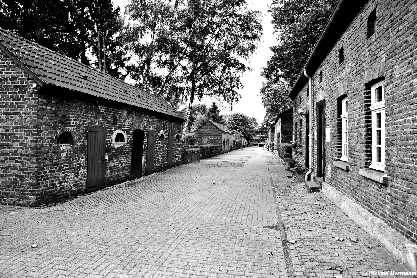 Eisenheim 2014_09