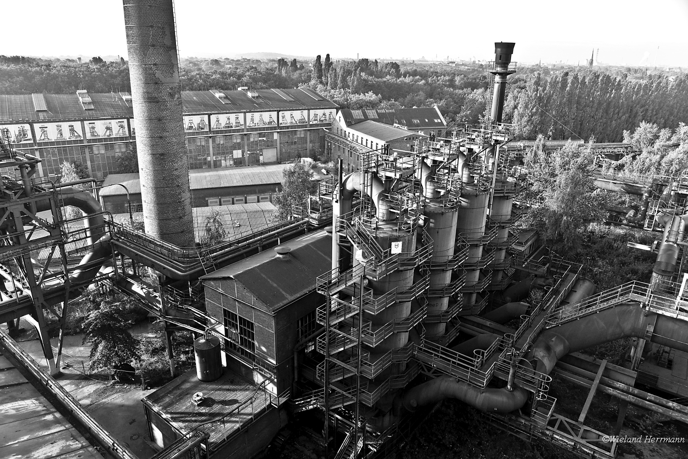 Landschaftspark 2017_14