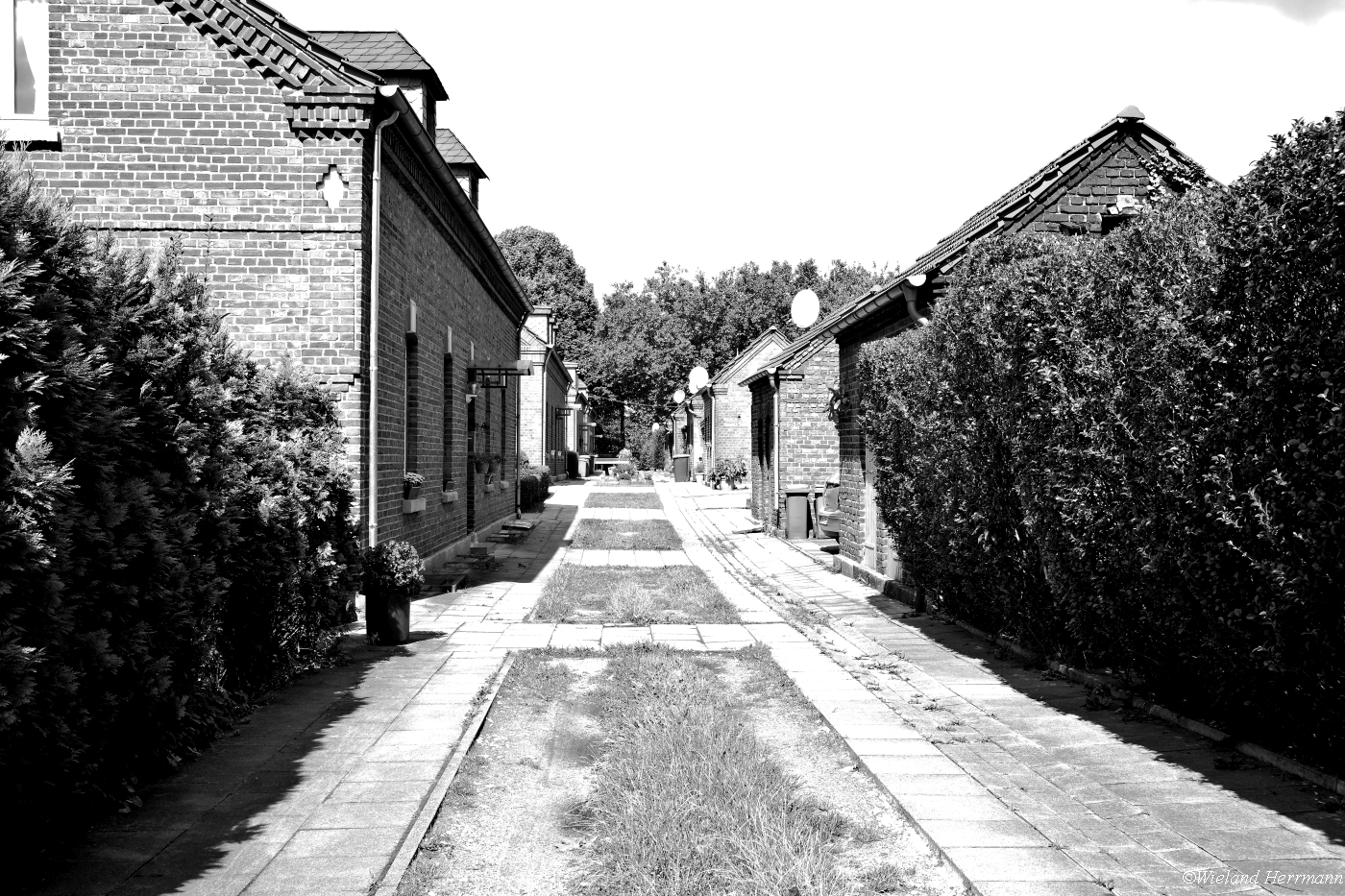 Stemmersberg 2014_02