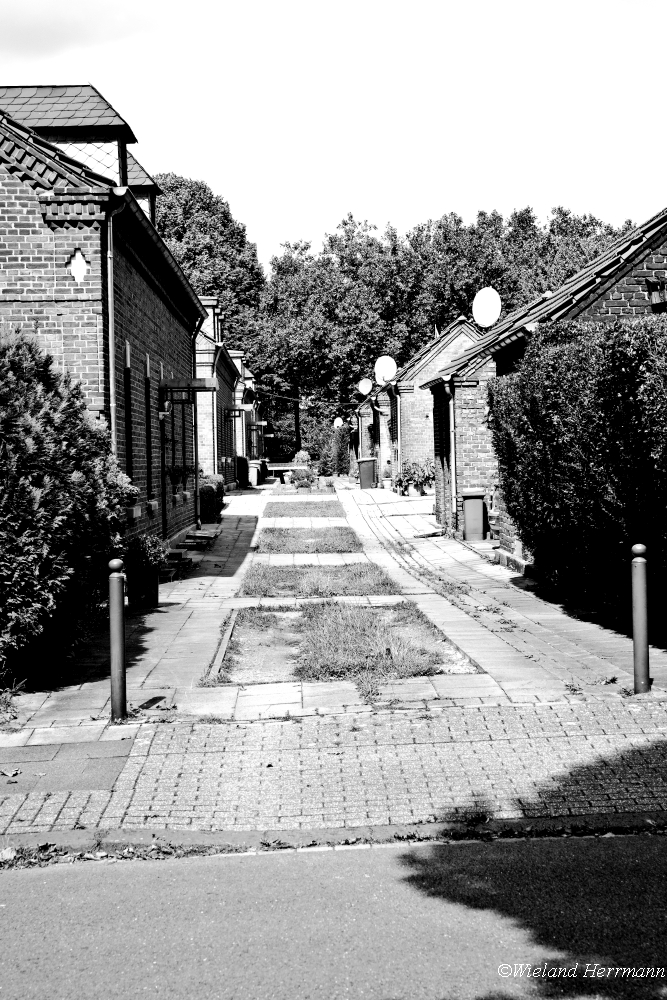Stemmersberg 2014_04