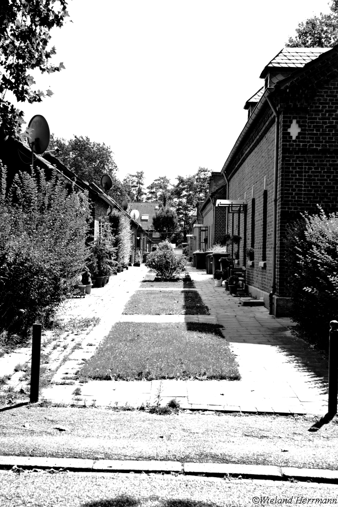 Stemmersberg 2014_15
