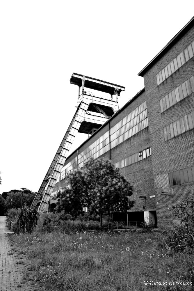 Zeche Ewald_2015_03