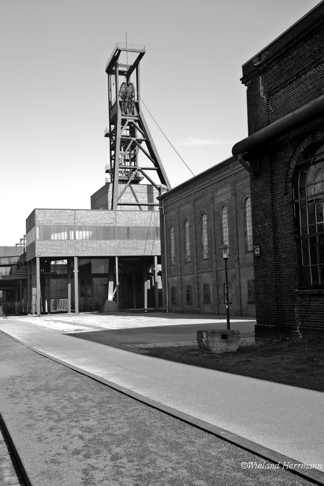 Zollverein 8/2014_07