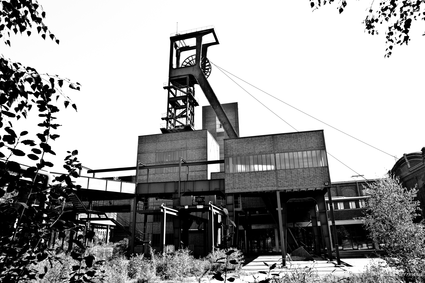 Zollverein 8/2014_13