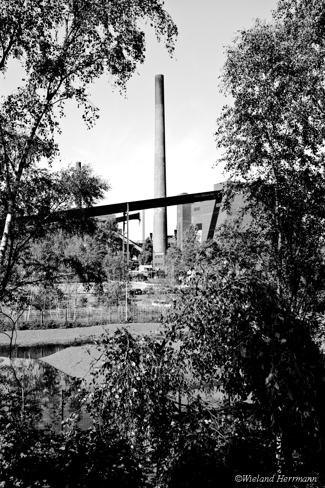 Zollverein 8/2014_16