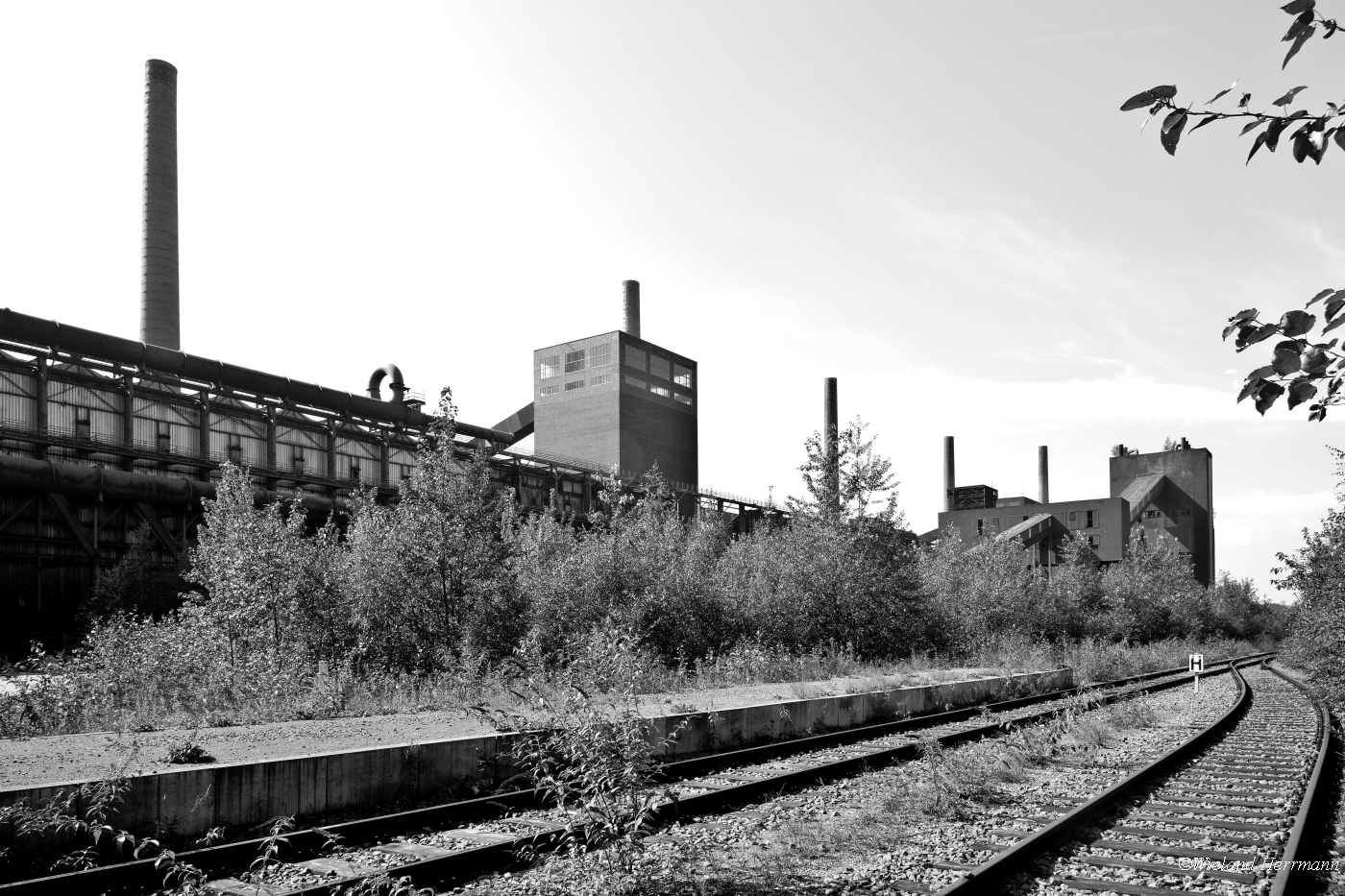 Zollverein 8/2014_17