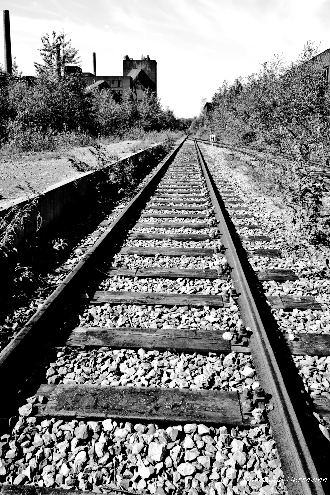 Zollverein 8/2014_18