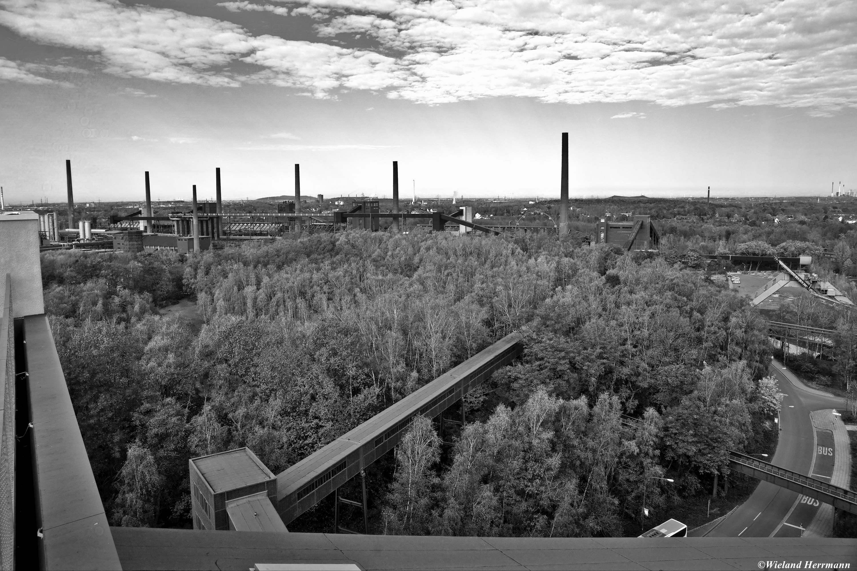Zollverein 11/2014_27