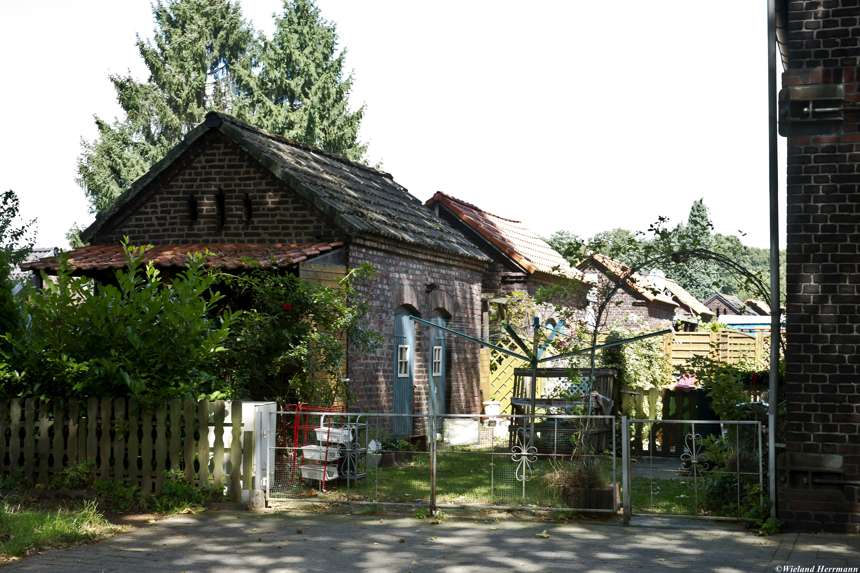 Dunkelschlag_06