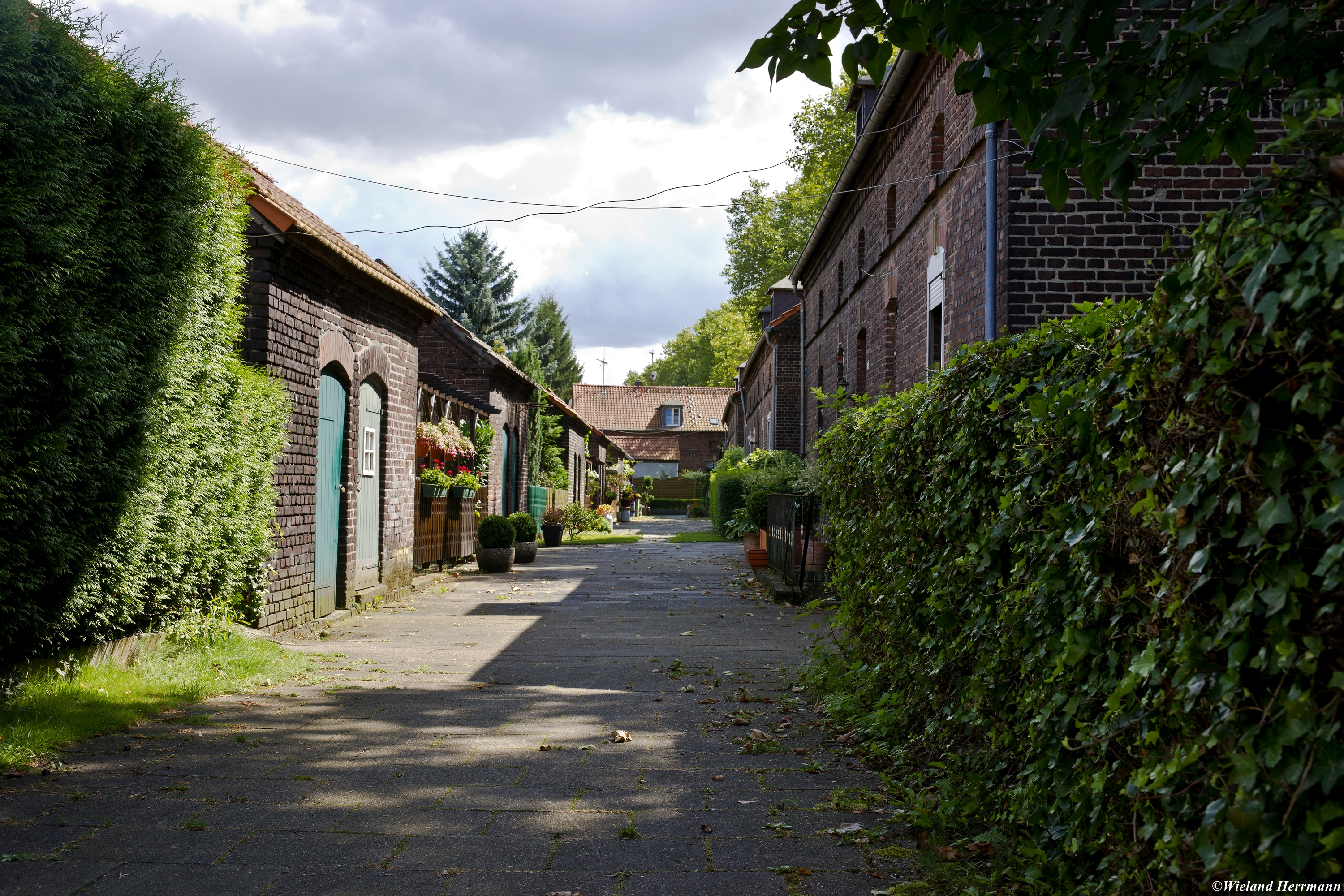 Dunkelschlag_07
