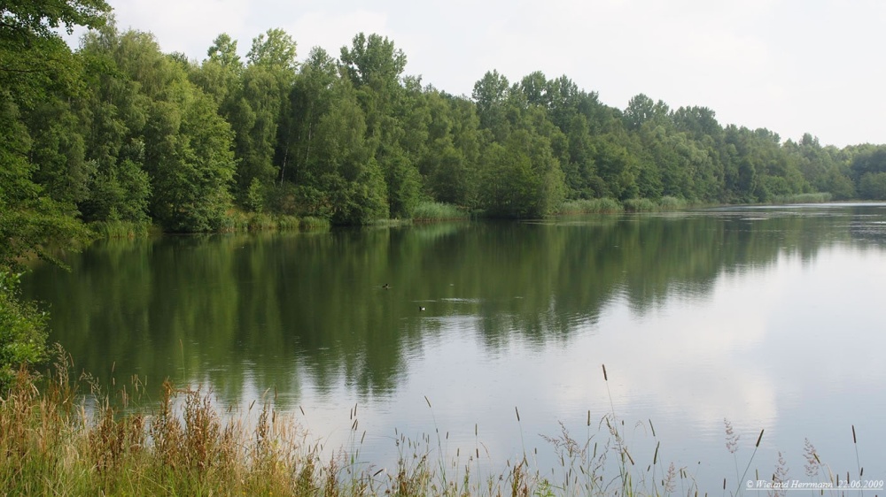 Heidhofsee