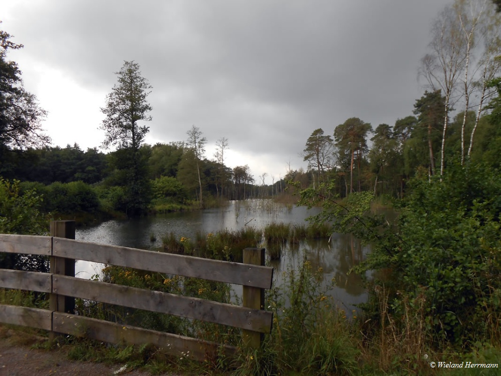 Kircheller Heide