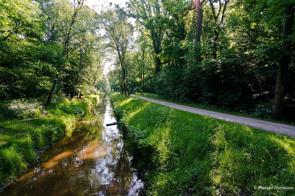 Rotbachtal