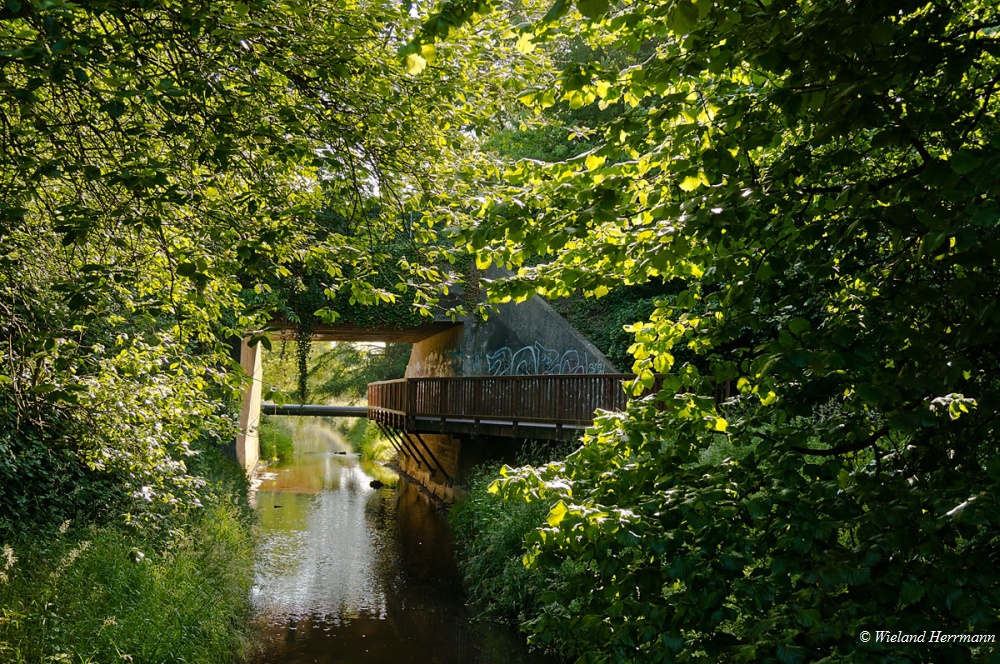 Rotbachtal