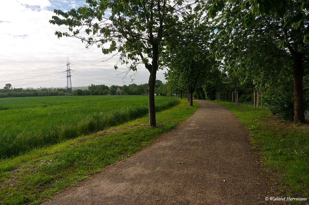 Talroute