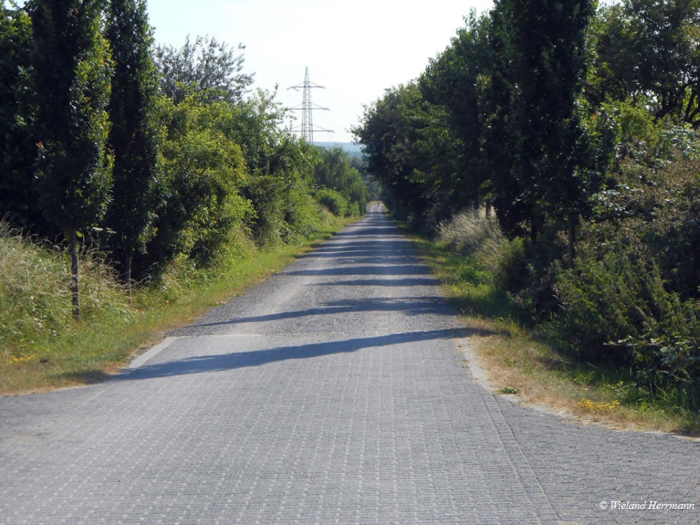 Voerde