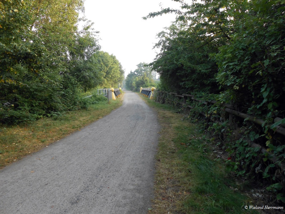 Dmmerwald
