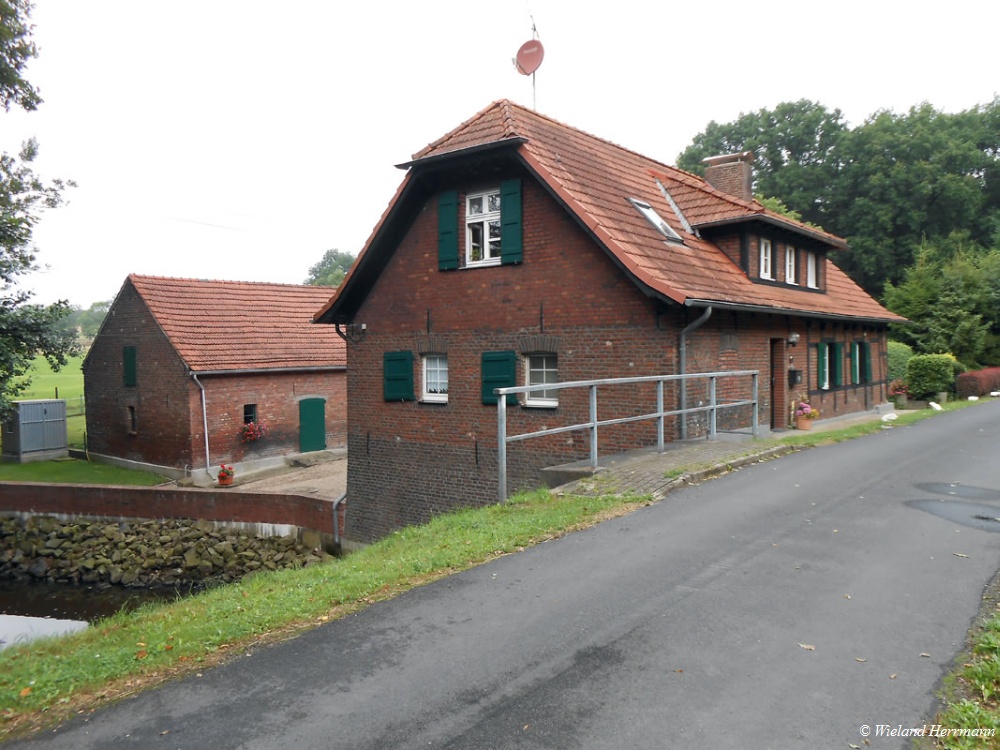 Dmmerwald