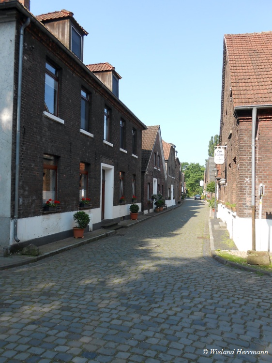 Dmmerwald