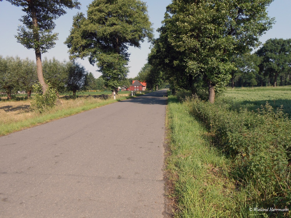 Dorsten