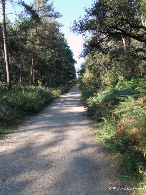 Boenninghardt_