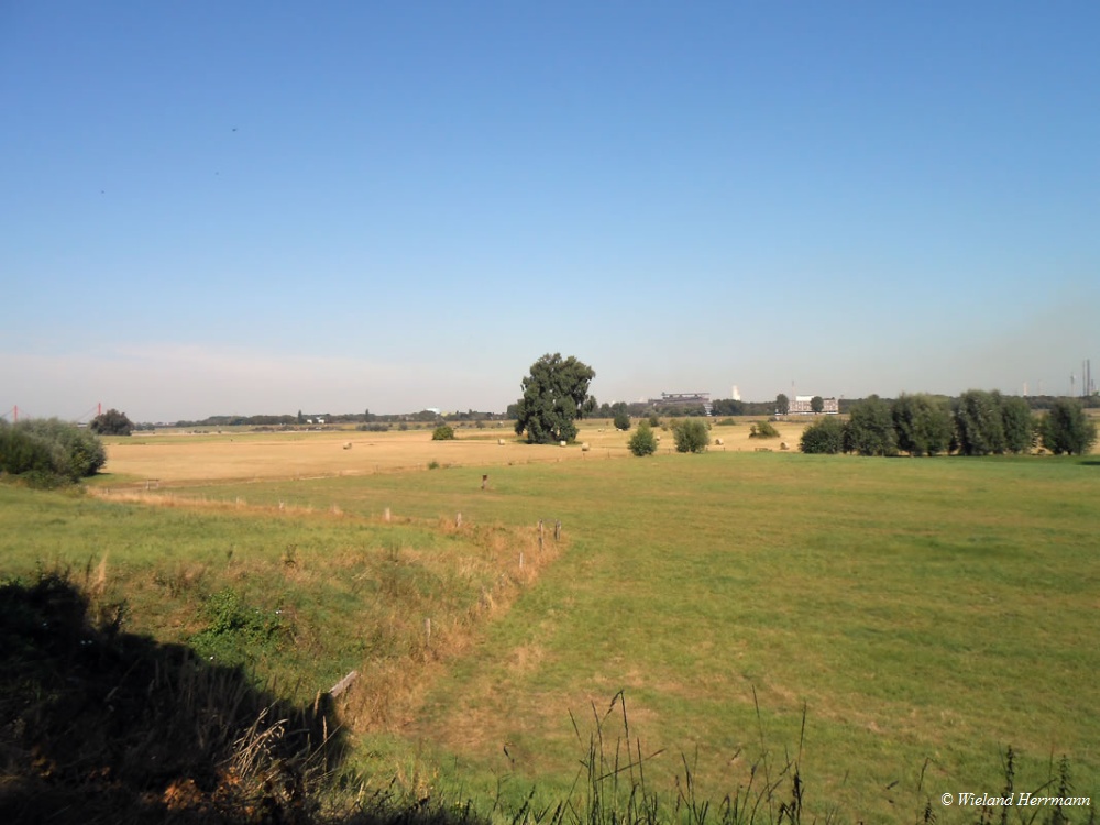Boenninghardt_