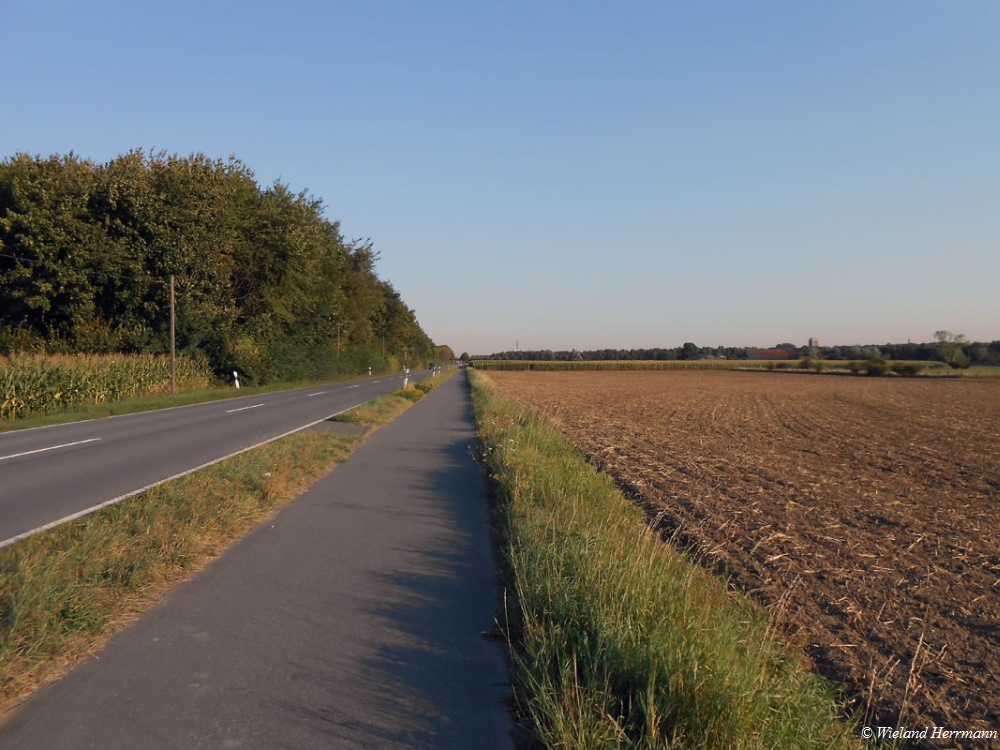 Boenninghardt_