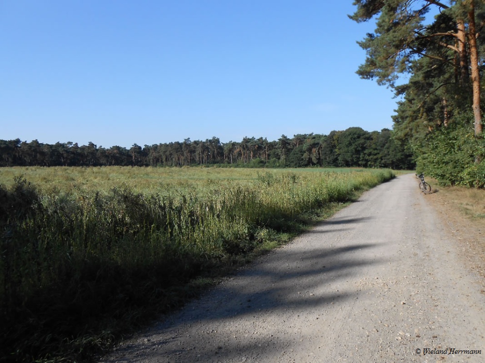 Boenninghardt_