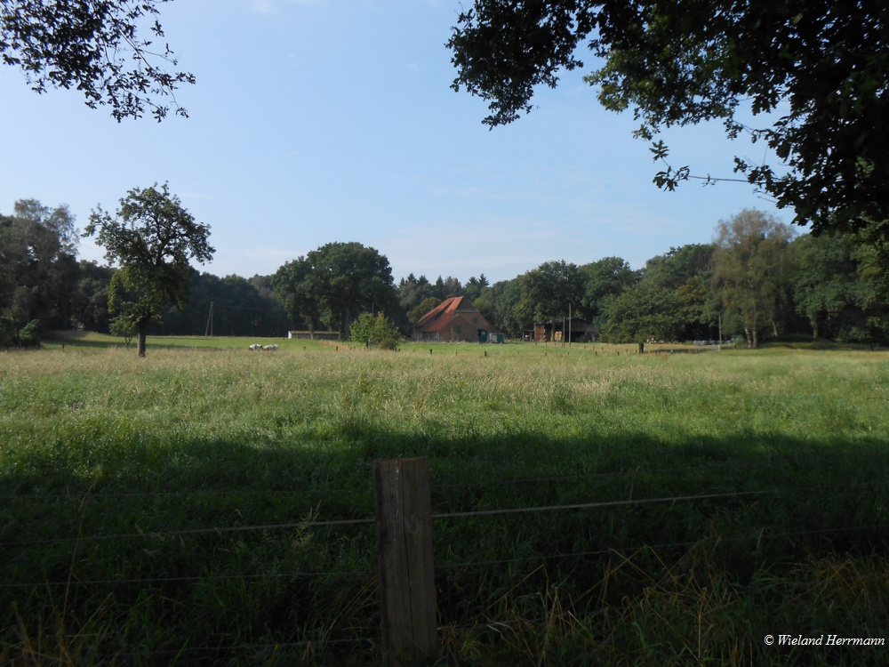 Wesel