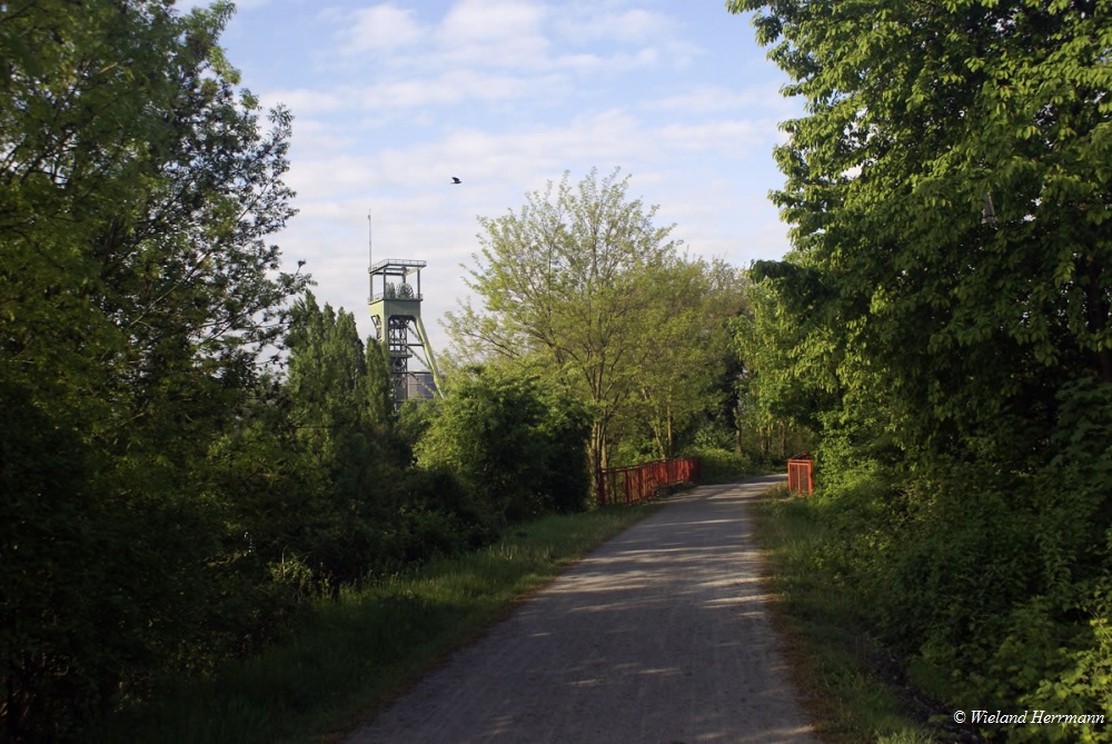 Wesel