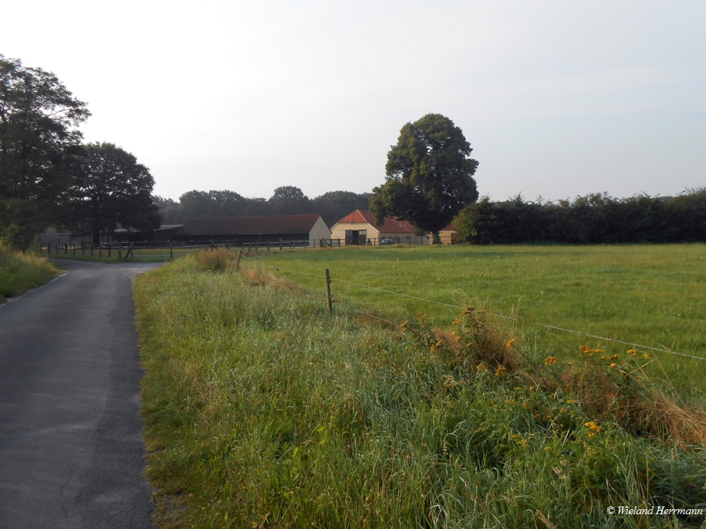Wesel