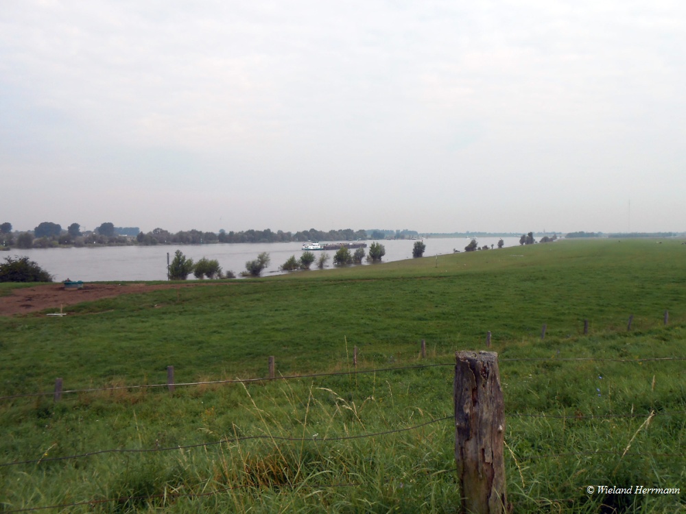 Wesel