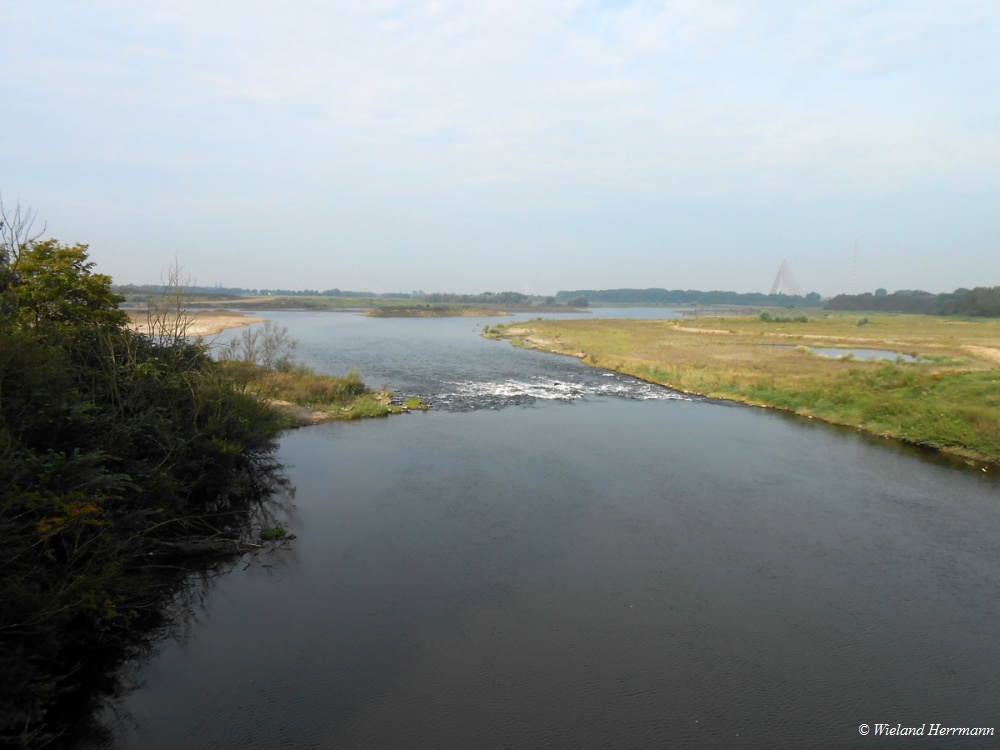 Wesel_7