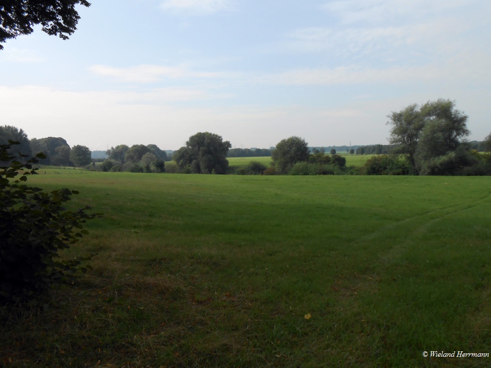 Wesel