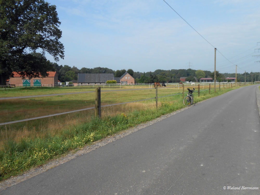 Wesel