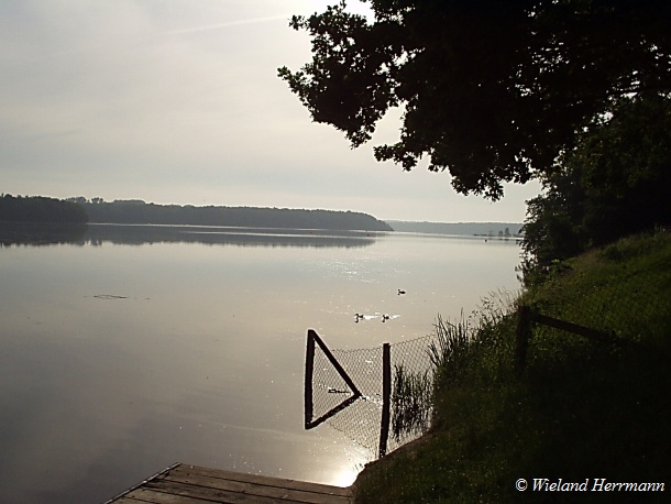 Haltern