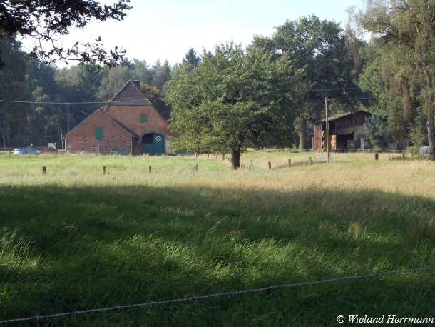 Wesel