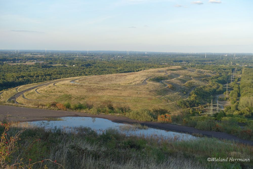 Schttelheide_01