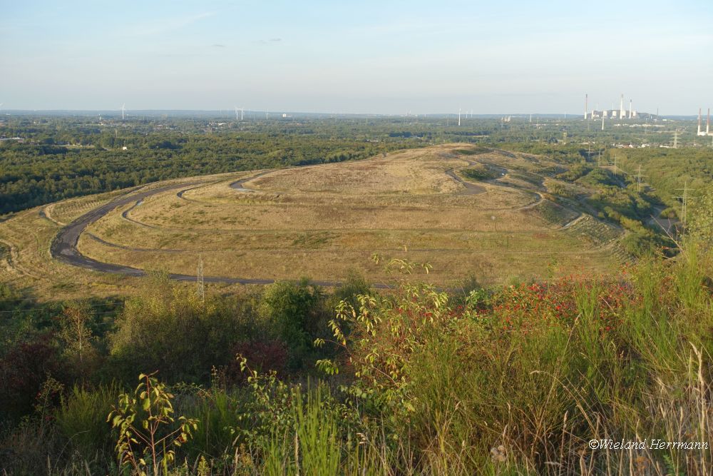 Schttelheide_02