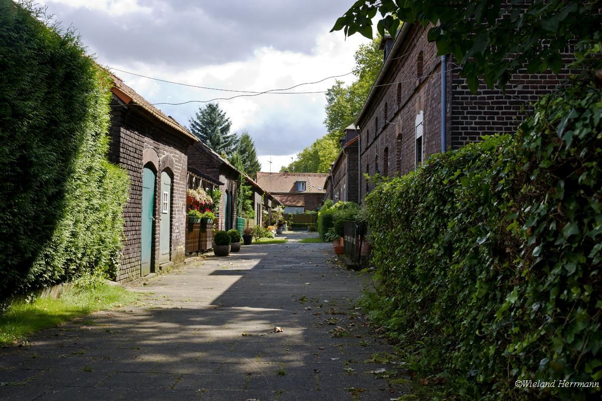 Siedlung Dunkelschlag_07