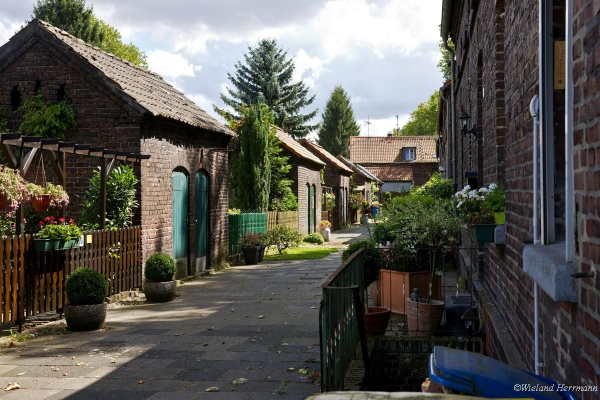 Siedlung Dunkelschlag_08