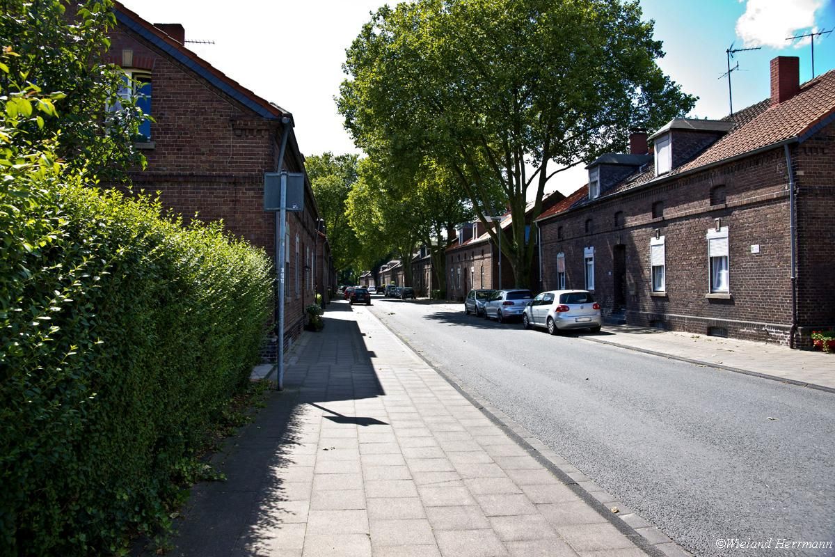 Siedlung Dunkelschlag_19