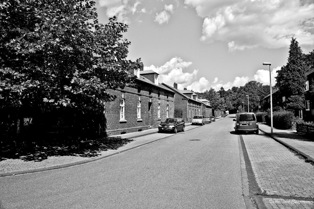 Siedlung Dunkelschlag_11