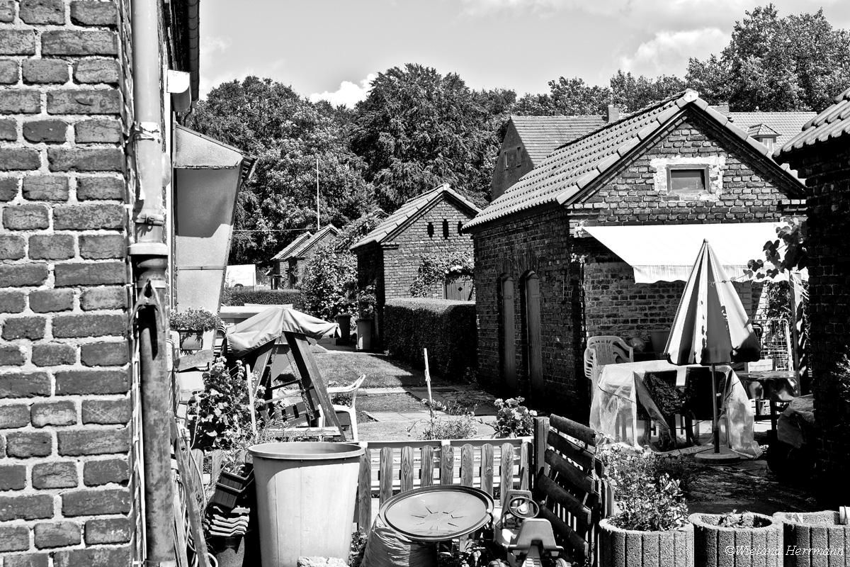 Siedlung Dunkelschlag_15