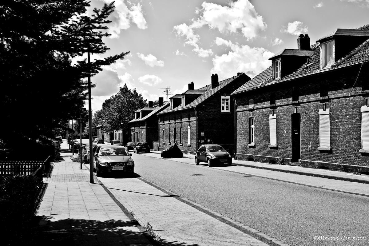 Siedlung Dunkelschlag_17