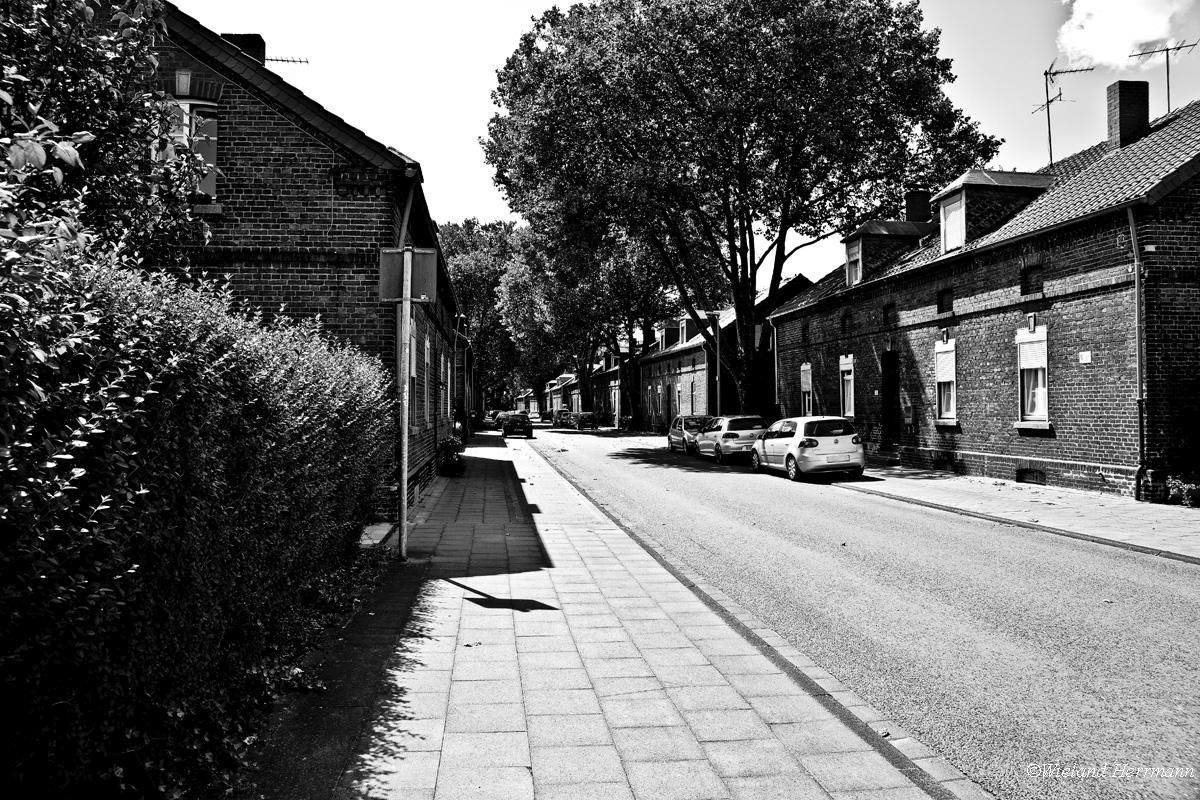 Siedlung Dunkelschlag_19